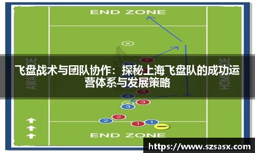 飞盘战术与团队协作：探秘上海飞盘队的成功运营体系与发展策略