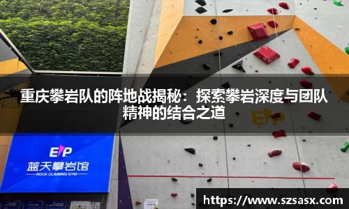 重庆攀岩队的阵地战揭秘：探索攀岩深度与团队精神的结合之道